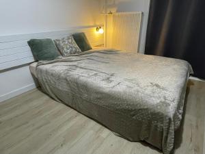 Le Vert Montagne Studio lumineux plein sud