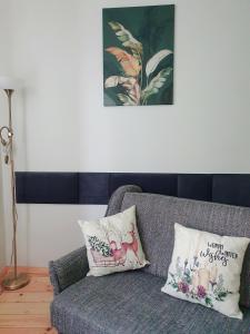 Cēsu mājas Rīgas ielā