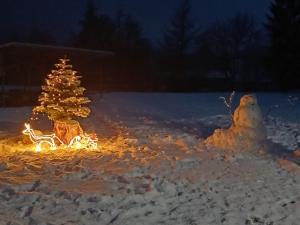 PRZYSTANEK nowEKOprzywno - Żółty Domek Pod Kasztanem