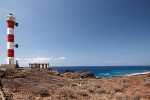 Urban Garden Hideaway