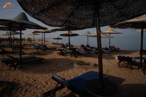 Fox Resort El Gouna Stay