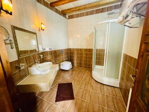 Deluxe Triple Room room in Sofa Hotel