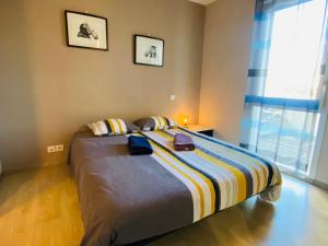 Appartements Appartement T2 cosy a Rodez : photos des chambres