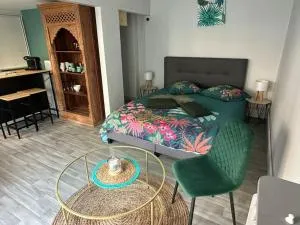 Studio indépendant avec jardin - 茹埃莱图尔