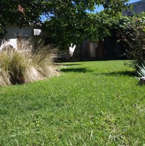 El Lirio Blan - Alquiler temporario