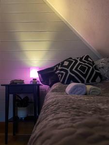 Pension 311 Vrchlabí