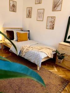 Apartament Universitate UMFST