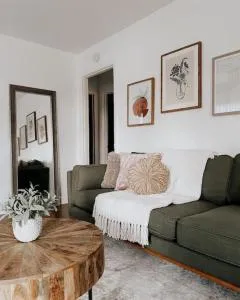 Cozy Mid-Century Modern House- walk to Starbucks - Taylors