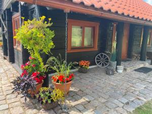 Annas Dzirnavas-Ezera māja