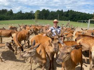 Annas Dzirnavas-Ezera māja