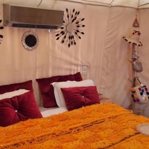 marvelous luxury desert stars