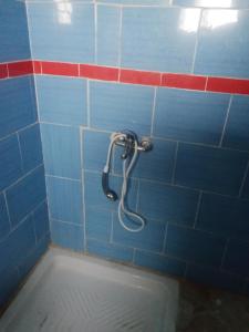 Mosaic House 24