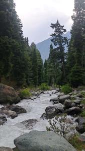 Srinagar hotels and houseboats
