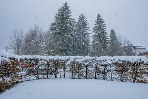 Apartment Triolet Jardin - Garden with Mont Blanc Views