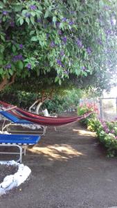 Aretis sea view house