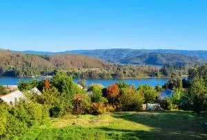 Cabañas Altos de Pino Huacho - 涅夫拉