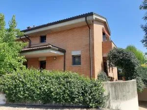 La Mimosa - Sabbioso