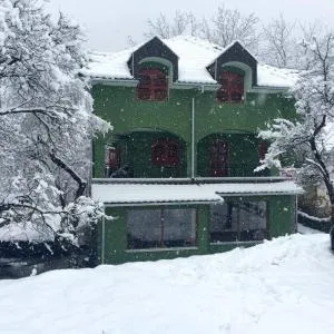 Vila Dukat Stara Planina - Crni Vrh