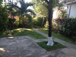 Kingston Airport bed and breakfast