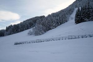 Appartements Lovely apartment in Col du Corbier : photos des chambres