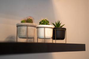 Historic manoir in Vire Normandy elegance in a semi-rural setting ideal for groups and families