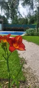 Pilar Norte. Departamentos - 托尔图吉塔斯