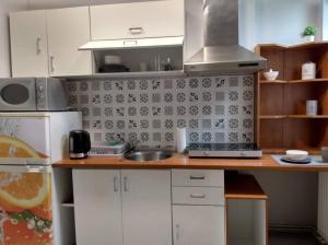 San River Apartment - Apartament nad Sanem