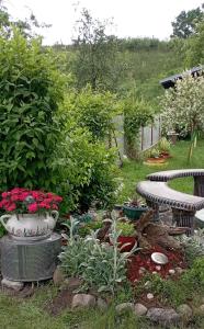 Kuca za odmor Zicanka