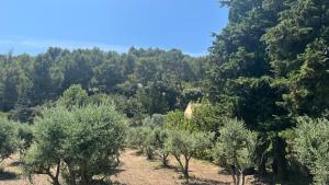 Maisons de vacances maison aux Baux de Provence : photos des chambres