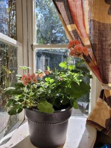 Trevligt husstuga i Svärtinge