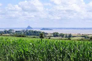Maisons de vacances GITE Les Cigognes N0ires : photos des chambres