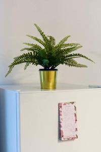 II. Bartók Street Apartment