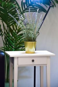 II. Bartók Street Apartment