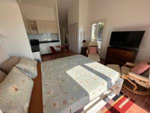 Appartements Appartement Studio ADRIAN - Climatise - proche du village - piscine - tennis : photos des chambres