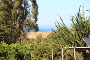 Olas de Chile Ecocamp