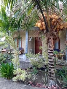 Belong home stay lembongan