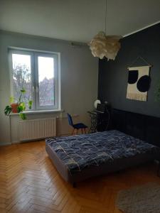 Apartament Bednarska