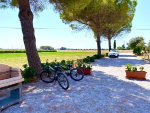 Agriturismo Stella Marina