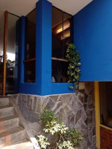 Arica Surf & Beach House