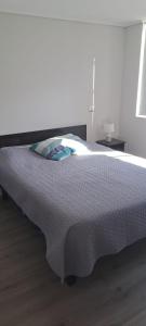 Depto. en el centro de Viña