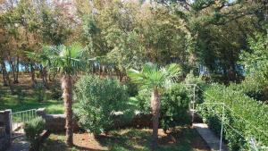 Apartments by the sea Njivice, Krk - 21870