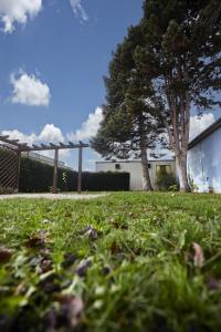Maisons de vacances Maison 140m2 au calme - Beau jardin - a 15mn a pied du Centre-ville de COLMAR : photos des chambres