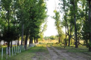 Cabaña Quinta La Gringa, San Rafael