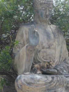 Casa del Molino , Ferienbungalow mit Privat-Pool exclusiv