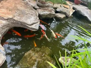 Khu nghỉ dưỡng sinh thái Charm Village - Xóm Tà Lang