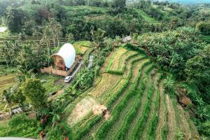 Rania Bamboo Villa by Broga