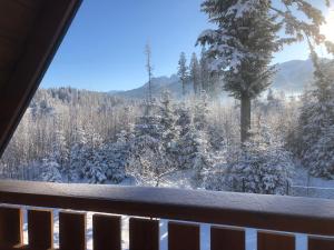 Zaśnieżony Domek przy Dolinie Chochołowskiej
