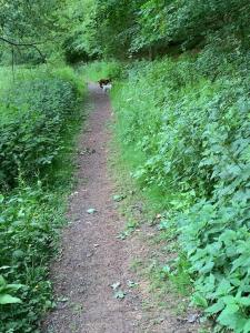 Luxury rural retreat near Rutland water