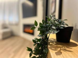 Luxurious maisonette in Ioannina