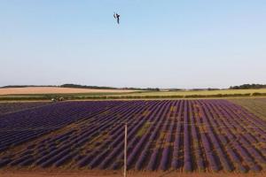 Entire Cosy bungalow close to Beach